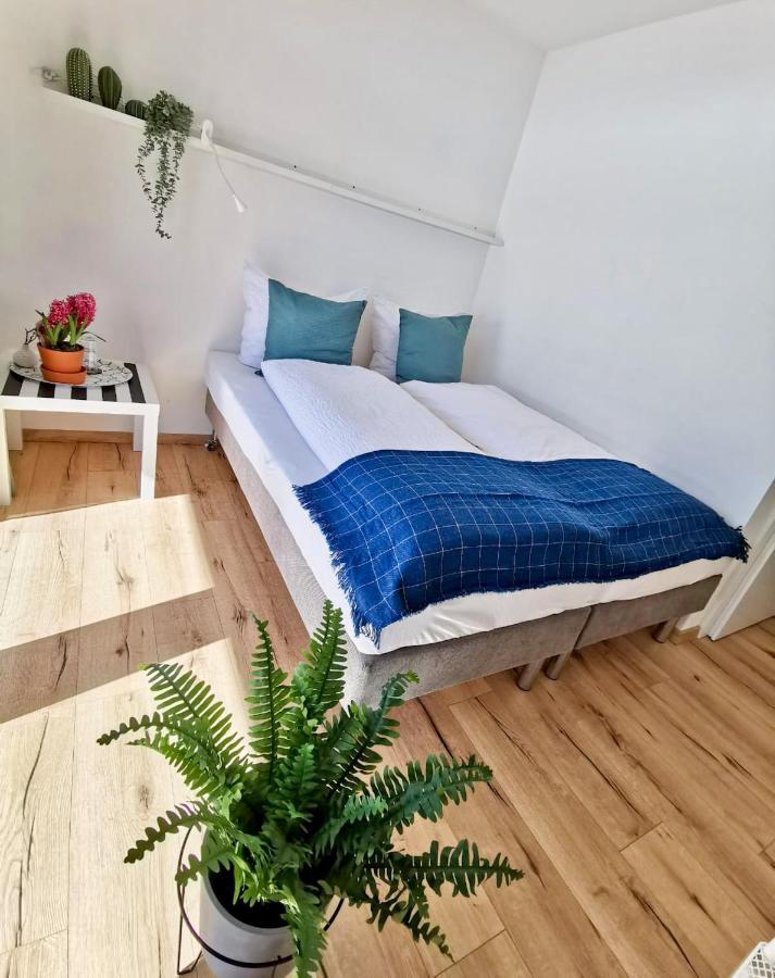 Haus Waltl Διαμέρισμα Sankt Johann in Tirol Εξωτερικό φωτογραφία