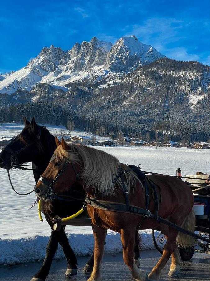 Haus Waltl Διαμέρισμα Sankt Johann in Tirol Εξωτερικό φωτογραφία